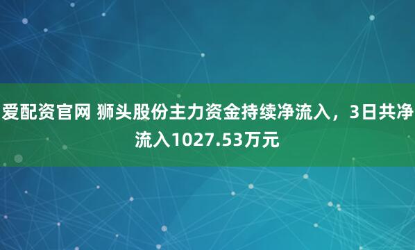 爱配资官网 狮头股份主力资金持续净流入，3日共净流入1027.53万元