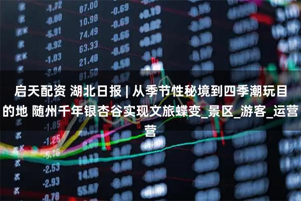 启天配资 湖北日报 | 从季节性秘境到四季潮玩目的地 随州千年银杏谷实现文旅蝶变_景区_游客_运营