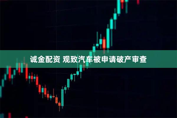 诚金配资 观致汽车被申请破产审查