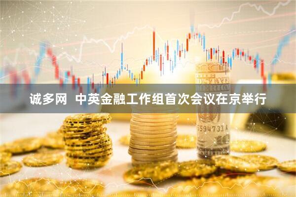 诚多网  中英金融工作组首次会议在京举行
