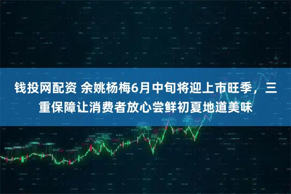 钱投网配资 余姚杨梅6月中旬将迎上市旺季，三重保障让消费者放心尝鲜初夏地道美味
